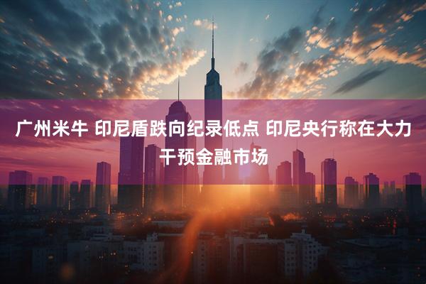 广州米牛 印尼盾跌向纪录低点 印尼央行称在大力干预金融市场