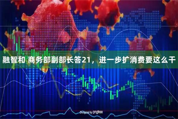 融智和 商务部副部长答21，进一步扩消费要这么干