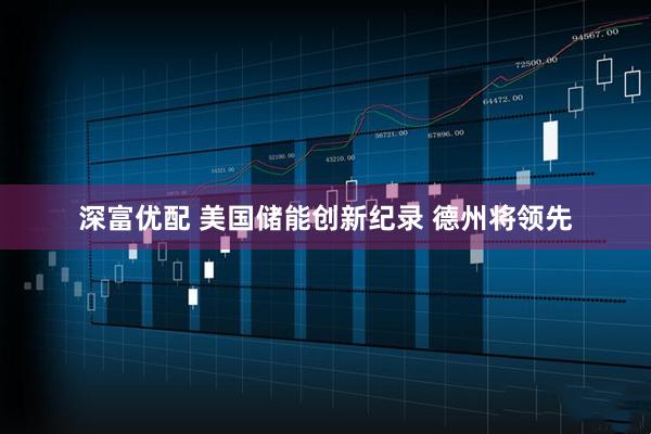 深富优配 美国储能创新纪录 德州将领先